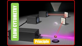 Flowcytometry Basics  Principle [upl. by Wendelina]