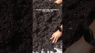 How to Revitalize Potting Soil Easy Tips for Healthier Plants [upl. by Devi135]