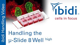 Handling the µSlide 8 Well high [upl. by Stenger]