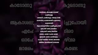 Manikya chirakulla song lyrics shorts trending lyrics malayalam shortvideo viral [upl. by Zia52]