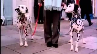 102 Dalmatians 2000 trailer [upl. by Anneres866]