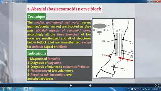 IIREGIONAL ANALGESIA IPERINEURAL BRegional Analgesia Of Limbs 1Horse 2Abaxial nerve block [upl. by Yrrehc]