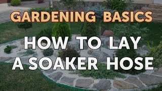 How to Lay a Soaker Hose [upl. by Tammi]