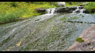 2 minutes of tranquility  Visit upper Pinnacle Creek Monashee mountains Cherryville BC Canada [upl. by Anyahs]