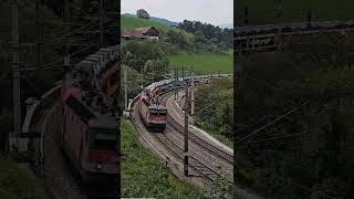 Trainspotters train nature rails [upl. by Mitzie]