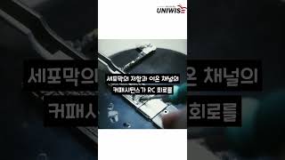 RC회로의 비밀 인간의 뇌를 이해하는 수단🤐 대학인강 No1 유니와이즈 [upl. by Yhtac]