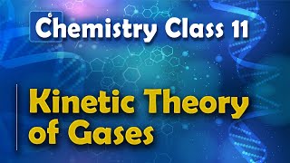 Kinetic Theory of Gases  States of Matter  Chemistry Class 11 [upl. by Karee]