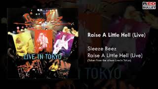 Sleeze Beez  Raise A Little Hell Live In Tokyo [upl. by Idalla]