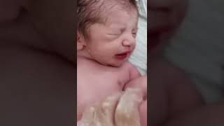 Gorgeous baby girl viralvideo newbornbaby babygirl cutybaby [upl. by Eirene]