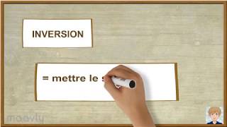 NT2  Apprendre le néerlandais  structure Inversion [upl. by Marylin]