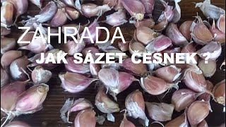 Honzík Lací  Jak sázet česnek [upl. by Marji949]