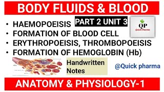 Hematopoiesis  Formation of Blood  Formation of Hemoglobin  Part 2 Unit 3  Anatomy amp Physiology [upl. by Krm205]