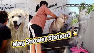 First ligo ng huskies ko sa NEW HOUSE [upl. by Ydnas]