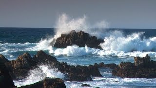 Zen Ocean Waves  Ocean Sounds Only NO MUSIC Aquatic Dream Therapy [upl. by Gabey]