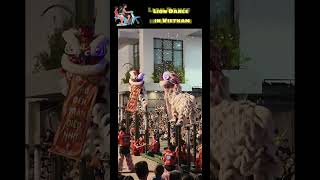 Lion Dance in Vietnam during MidAutumn Festival  MUST WATCH [upl. by Emilee]