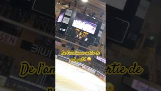 Ajoie réveiller vous bordel  😢😢💛🖤🐉 hockey hcajoie [upl. by Vaientina]