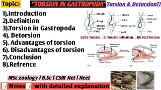 Torsion in gastropoda  Advantage of Torsion  Disadvantages of torsion [upl. by Lose]