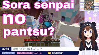 Tokino Sora Got Dragged Into Dangerous Conversation  Minecraft HololiveSub [upl. by Nylime940]