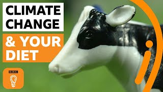 What if everyone in the world went vegan  BBC Ideas [upl. by Ahsatin]