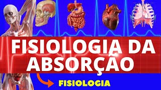 FISIOLOGIA DA ABSORÇÃO  FISIOLOGIA DE GUYTON  CARBOIDRATOS LIPÍDEOS PROTEÍNAS E ÁGUA FISIOLOGIA [upl. by Pogah]