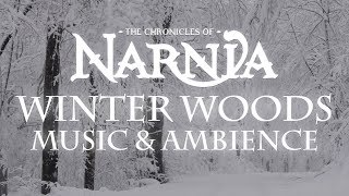 Chronicles of Narnia  Winter Woods Music amp Ambience  Relaxing Music with Sounds of Winter [upl. by Montford]