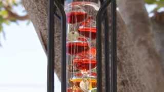 Outdoor Hanging Galileo Thermometer [upl. by Placeeda]