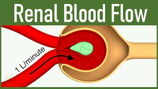 06 Renal Blood Flow [upl. by Fabozzi]