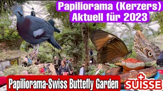 Papiliorama kerzers  Aktuell für 2023Swiss Butterfly GardenSwissNguyenCH [upl. by Malet615]