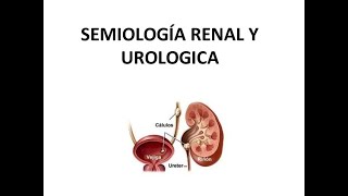 SEMIOLOGIA RENAL Y UROLOGICA PARTE 2 [upl. by Cinda]