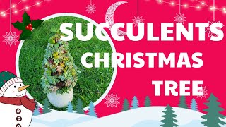 SUCCULENTS CHRISTMAS TREE P2 [upl. by Cally]