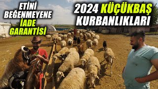 2024 Yılı Küçükbaş Kurbanlık Arayanlar Ankarada Aradıklarını Bulacaklar [upl. by Alimat]