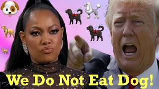 Garcelle Beauvais Speaks Out Amid False Claims About Haitians Immigrants Eating Pets [upl. by Erodeht]