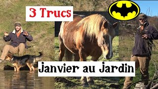 3 Trucs à faire en Janvier au Jardin [upl. by Naejamron]