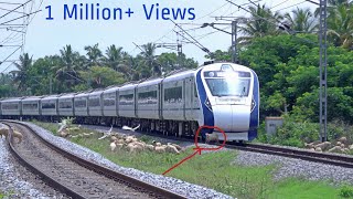 Live Train accident  VANDE BHARAT EXPRESS Run Over Poor Sheep Crossing a Railway Line at Hispeed 🚄 [upl. by Ettelloc]