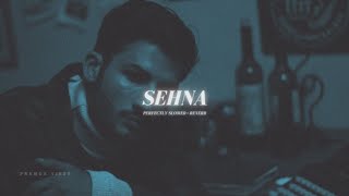 Sehna  Perfectly Slowed  Reverb  Jani [upl. by Rehtaeh]