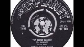 60s Mod Tune  The Gamma Goochie  The Tribe [upl. by Annabela362]