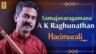 Samajavaragamana  a carnatic flute concert by AKRaghunathan  Hari Murali [upl. by Bentlee187]