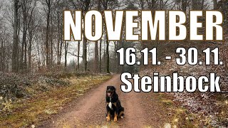 STEINBOCK 1611301124🔮Befreiung und Aufbruch [upl. by Netsrik]