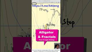 Alligator amp Fractals Forex Trading Strategy [upl. by Tahpos635]