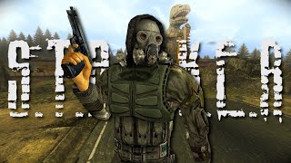 Turning Fallout New Vegas Into STALKER With Mods [upl. by Aicnelav317]