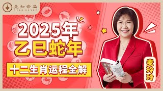 麦玲玲师傅详解2025蛇年运程：十二生肖完整版！事业运、财运、人际关系、爱情、婚姻、健康全解析！ [upl. by Evan17]