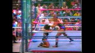 WWC Wendi Richter vs Sasha  Cage Match [upl. by Nella]