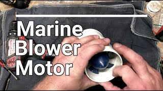 Marine Blower Motor [upl. by Diarmit302]