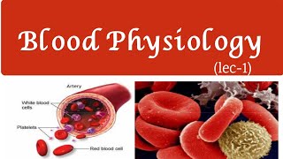 Blood physiologyRBCsGuyton and Hall guytonandhallphysiologylectures medicalstudent [upl. by Ynot]