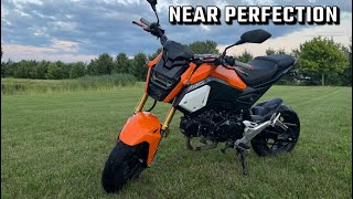 The Honda Grom is a Masterpiece [upl. by Luba]