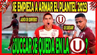 UNIVERSITARIO BUSCARÍA RENOVAR A SUCCAR Y A POLO  PROBABLE SALIDA DE QUINTERO  ¿POLO SENTENCIADO [upl. by Gnous]