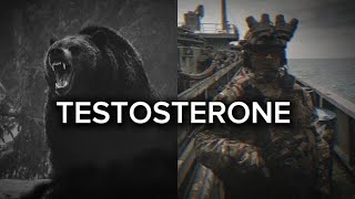 TESTOSTERONE Motivation  Powerful motivational compilation video [upl. by Sackey]