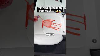 Fruit Punch SPILLED All Over My White Tesla Seats 😭😅 [upl. by Aibos61]