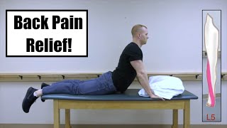 L5 Disc Bulge Exercises  Lumbar Radiculopathy Treatment [upl. by Parcel825]