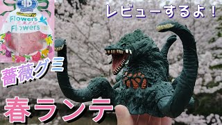 桜をバックにビオランテREVIEW【ゴジラ怪獣ソフビ】BANDAI ムービーモンスターシリーズ [upl. by Goldin705]